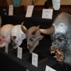Monsterpalooza