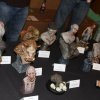 Monsterpalooza