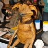 Monsterpalooza
